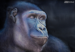 1_Poland_EwelinaDydacka_DreamOfFreedom_38x56