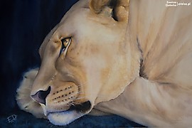 3_Ewelina_Dyacka_Longing_56x38cm_Poland