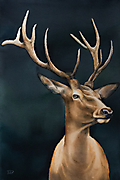4_Oh_Deer_38x56cm_Ewelina_Dydacka