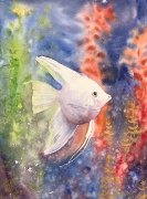 08 Beauty in white, 20x30, Joanna Markowska