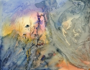 łąka w zachodzącym słońcu