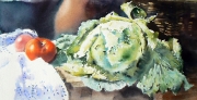 akwarela,kapusta,27x53