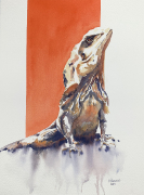 1-Little dragon- 30x40cm Izabella.Ramsza